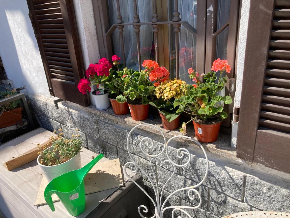 + Saronno